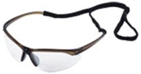Pinpoint Safety Glasses