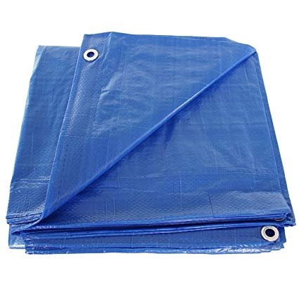 Polly Blue Tarps 20'X20'