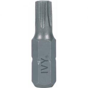 Torx Insert Bit