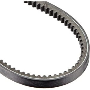 BX42 V-Belt